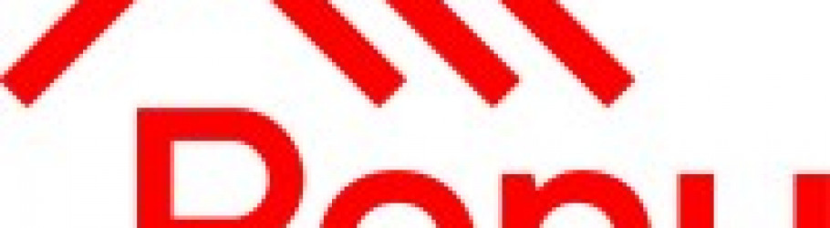 renurenovationservices
