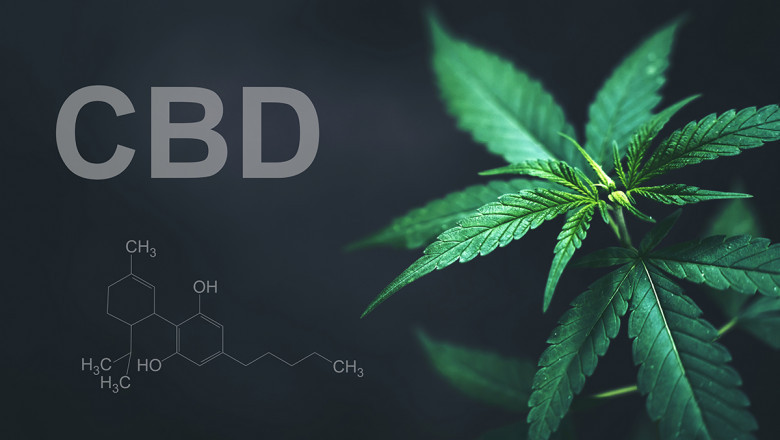 Der rechtliche Status von Cannabis in Europa