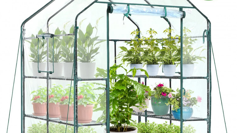 Choosing the Right Greenhouse Plastic: A Guide to 6 Mil 40 x 100 Transparent Films