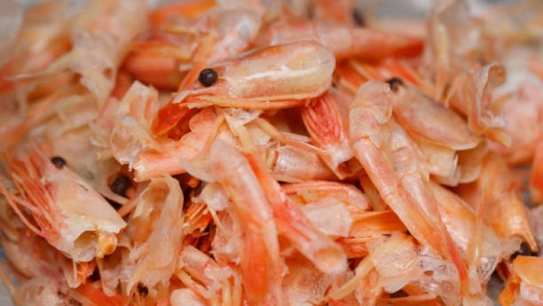Chitosan Processing Plant Project Report 2025: Comprehensive Business Plan and Machinery Requirements