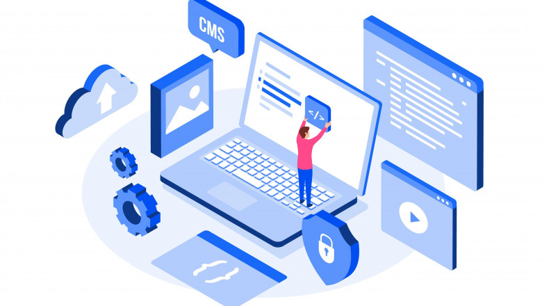 Not Sure If You Need a Web Development Company? Here’s the Real Deal