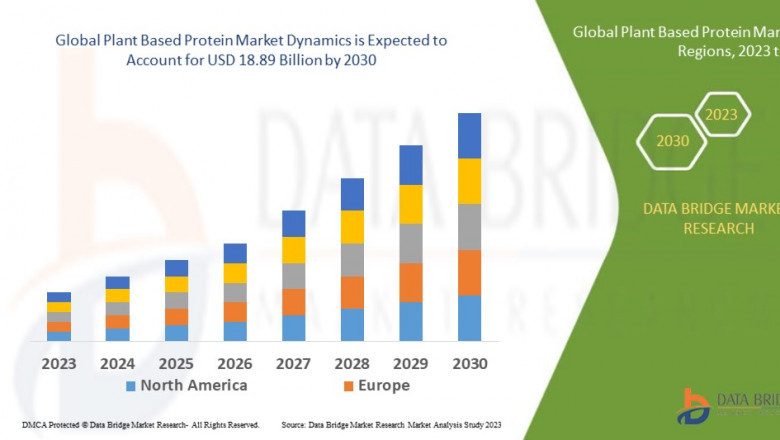 Plant-Based Protein Market to Cross USD 20.10 Billion by 2031, Powered by 6.40% CAGR