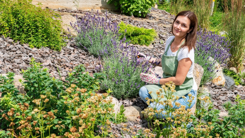 Discover Your Go-To Landscaper in Perth – Why Luke’s Landscaping is the Best Choice