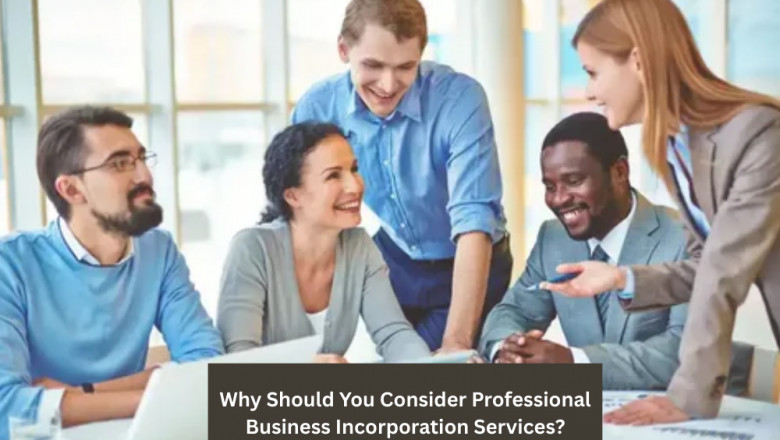 Why Should You Consider Professional Business Incorporation Services?