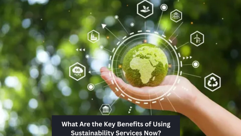 What Are the Key Benefits of Using Sustainability Services Now?