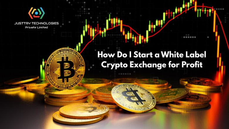How Do I Start a White Label Crypto Exchange for Profit