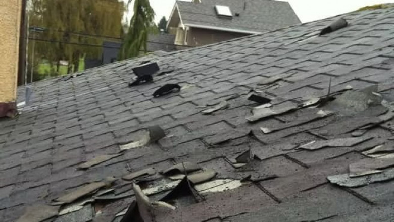 Raise Your Roof with the Best: Magnus Construction