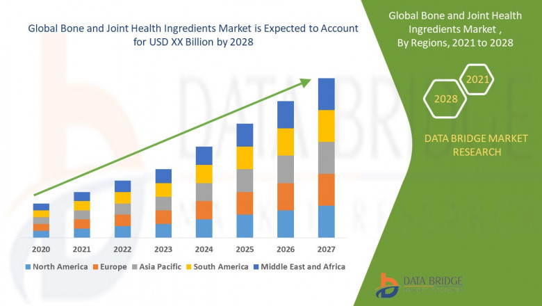 Bone and Joint Health Ingredients Market Revenue Forecast: Growth, Share, Value, Size, and Insights