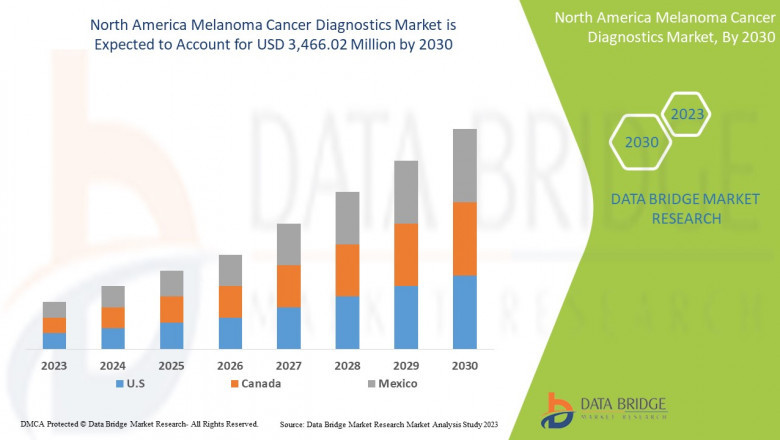 North America Melanoma Cancer Diagnostics Market Size Analysis Report, Share, Trends, Growth and Competitive Outlook