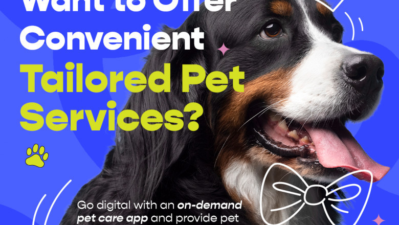 How to Build an App Like Rover: A Simple Guide to Pet Care App Development