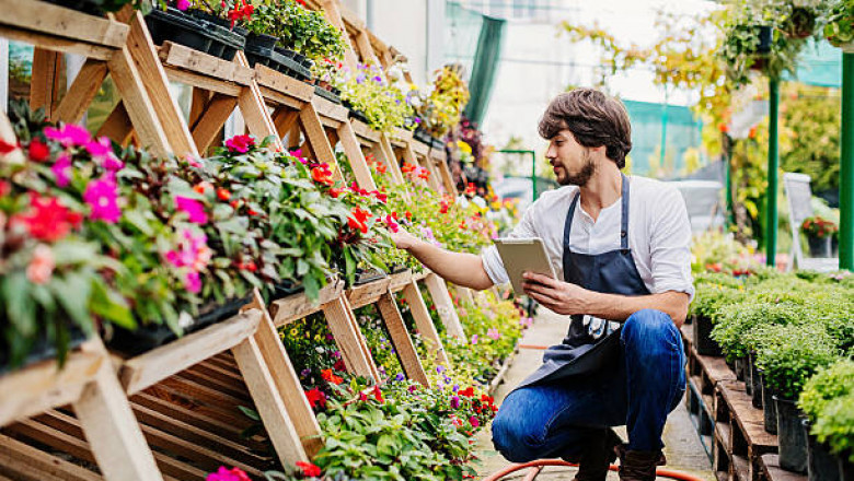 What Types of Flowers Should You Always Buy from a Wholesale Florist?