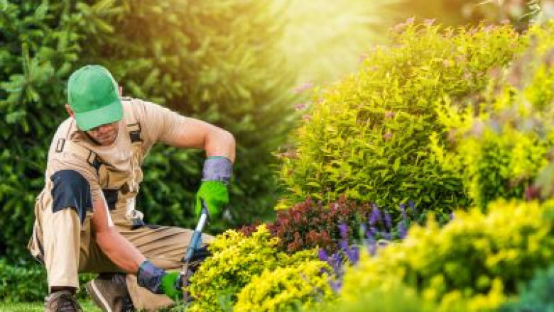 Hiring a Landscaper? Don’t Skip These Questions