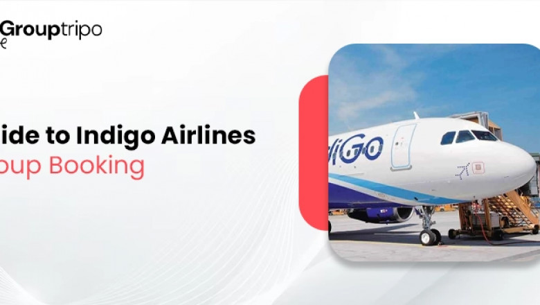 Can I Do Indigo Airlines Group Booking Online?