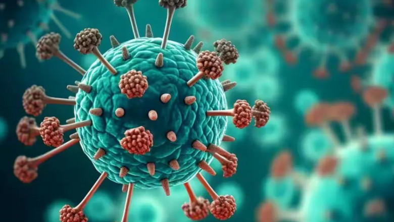 Exploring the Latest Advancements in Human Metapneumovirus (hMPV) Therapeutics