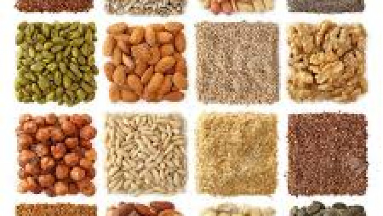 The Greatest Source of Energy for Humans: Tapping into Nature’s Powerhouse