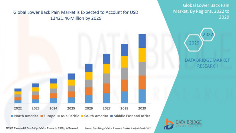 Lower Back Pain Market Trends: Growth, Share, Value, Size, and Analysis