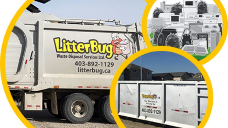 Spring Cleaning Made Easy With LitterBug’s Junk Removal Services