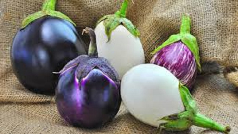 Eggplant Processing Plant 2025: Detailed Project Report, Raw Materials Cost and Unit Setup