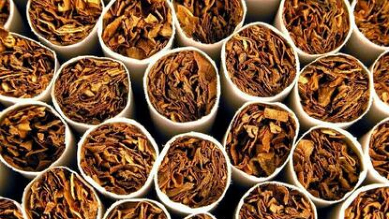 2025 Cigarette and Cigar Market Outlook: Trends, Challenges, and Growth Opportunities