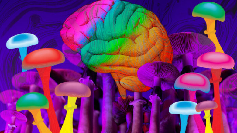 A Beginner’s Guide to Psychedelic Substances and Their Effects