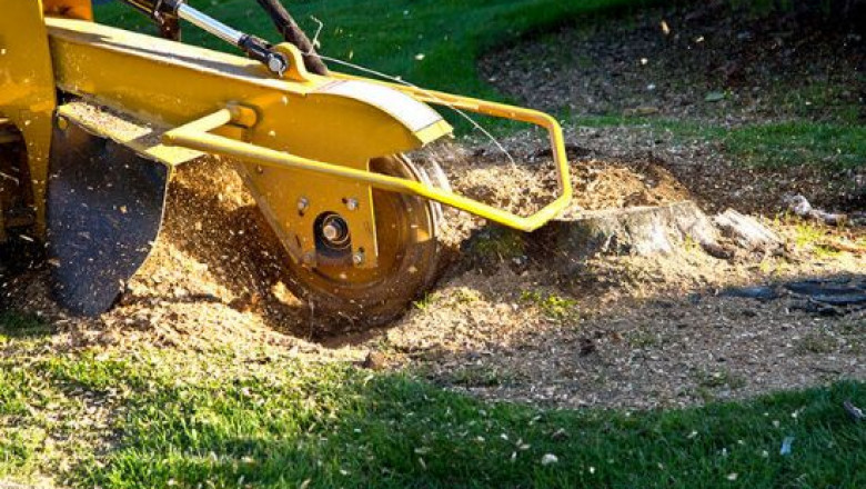 How Stump Removal Services Improve Your Landscape’s Safety