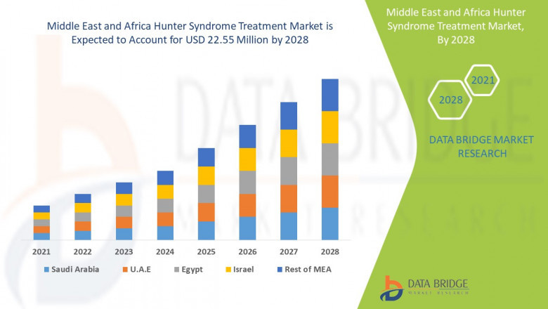 Middle East and Africa Hunter Syndrome Treatment Market Forecast and Size Analysis