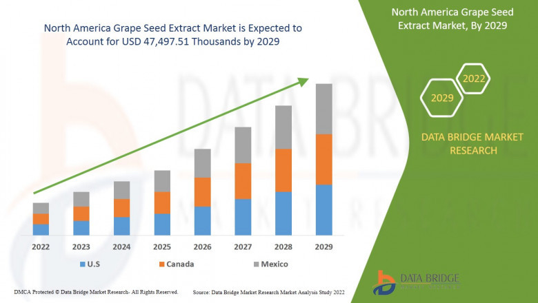 North America Grape Seed Extract Market Size, Trends, and Forecast Report