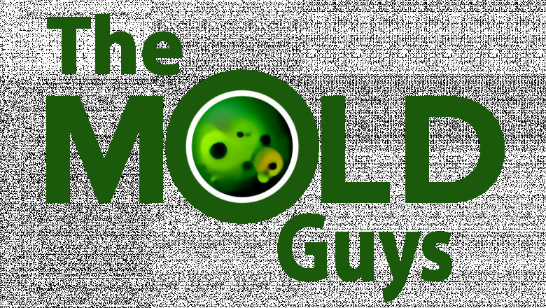 The Health Benefits of Professional Mold Removal: Breathing Easier at Home