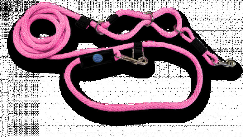 Trained Dogs for Sale: Your Future Well-Behaved Companion Is Just a Click Away