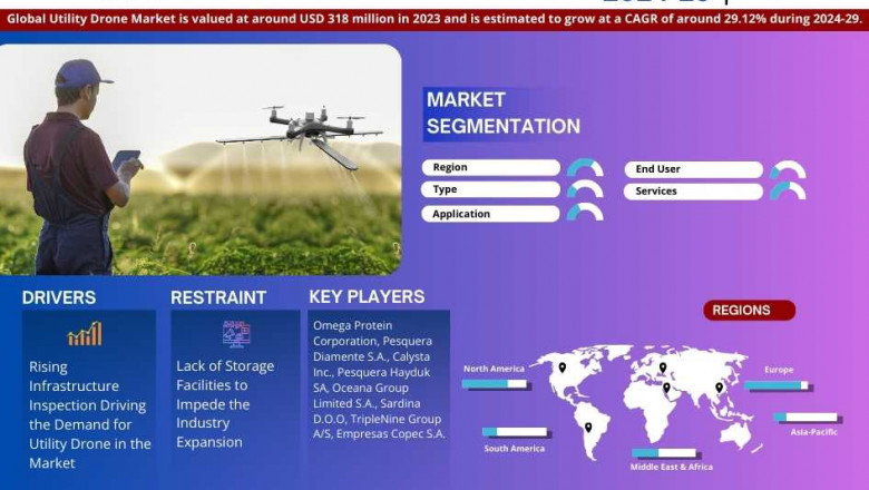 Utility Drone Market Insights: Demand, Share, and Key Players 2029