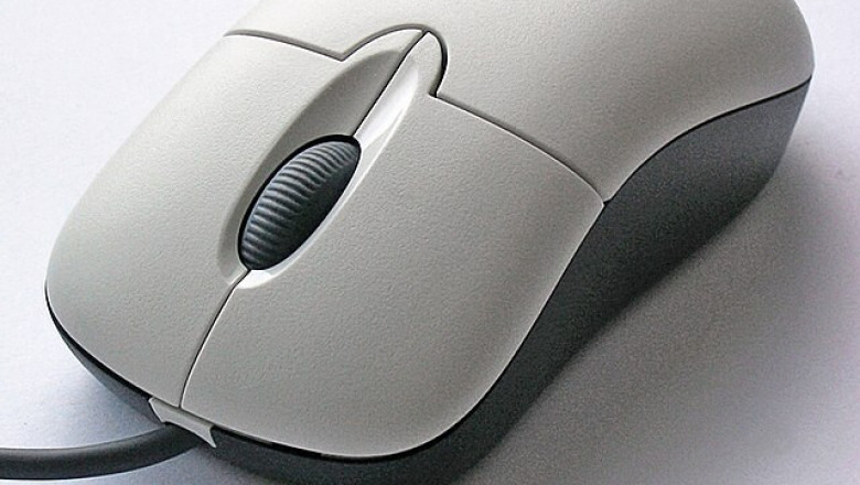 Mouse