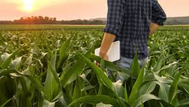 Protect Your Crops and Property with Professional Pest Control Solutions