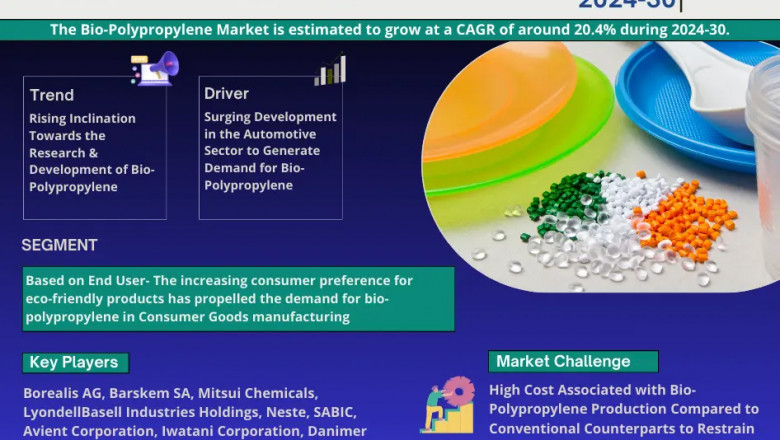 Bio-Polypropylene Industry Overview: Size, Value, and Forecast Outlook 2030