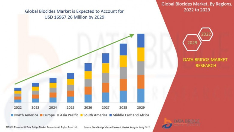 Biocides Market Size & Analysis: Addressing Growing Concerns About Hygiene and Safety