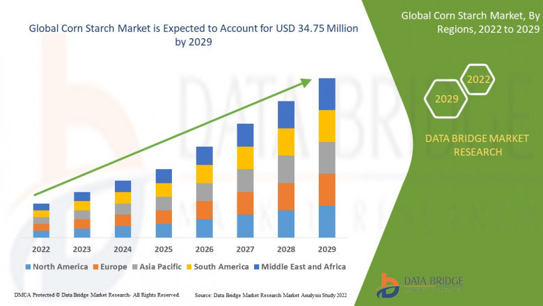 Corn Starch Market Size & Analysis: A Staple Ingredient Across Industries - Trends and Forecast