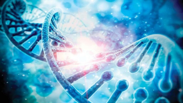 Molecular Imaging Market to Experience High Growth Owing to AI-Enhanced Imaging Agents
