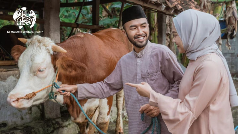 Eid ul Adha Qurbani 2025: The Sacred Opportunity to Feed the Ummah in Crisis