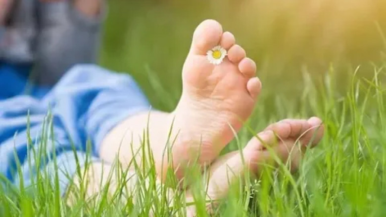 Environmental Impacts on Health & Feet , Podiatry in Edinburgh