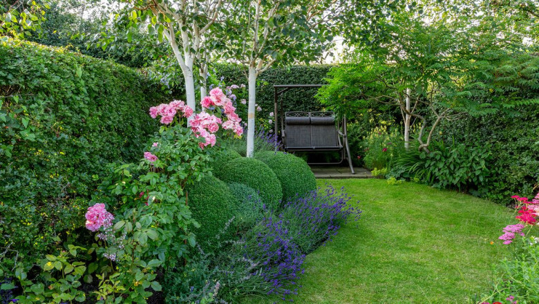 Beautiful Lawns on a Budget: Professional Care for Every Yard