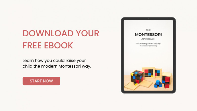 Explore Ebook WordPress Themes That Help You Market Sell & Shine as an Author
