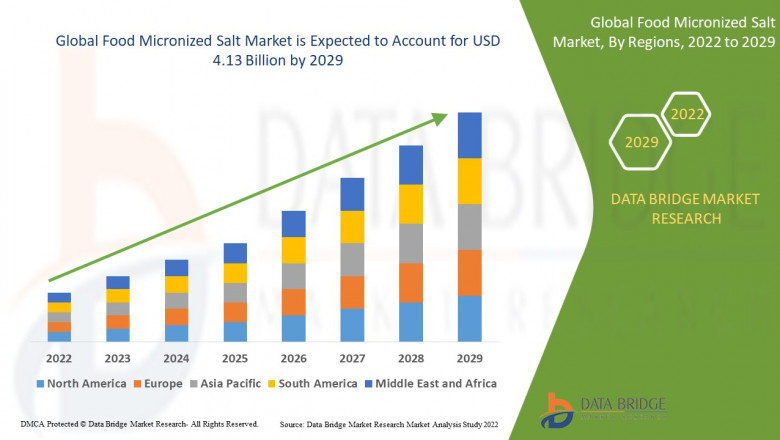 Food Micronized Salt Industry: Developments and Landscape by 2025 - 2029