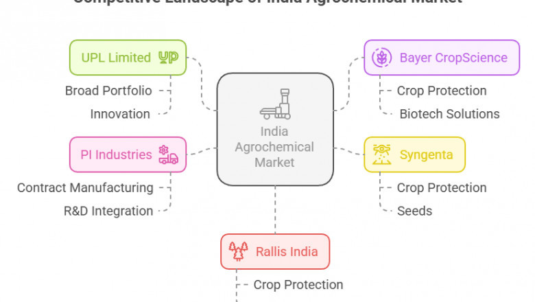 India Agrochemical Market Key Players, Emerging Challenges, and Growth Opportunities