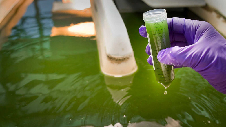 Liquid Biofuels Market is Estimated to Witness High Growth Owing to Sustainability Initiatives