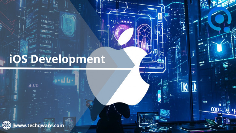 iOS Development Company - Industry Overview 2025