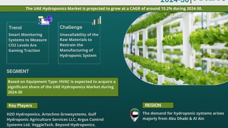 UAE Hydroponics Industry Growth Trends and Competitive Analysis 2030