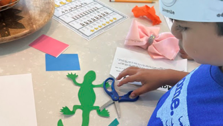 Are Pre-School Curriculum Kits Perfect for Homeschooling Families?