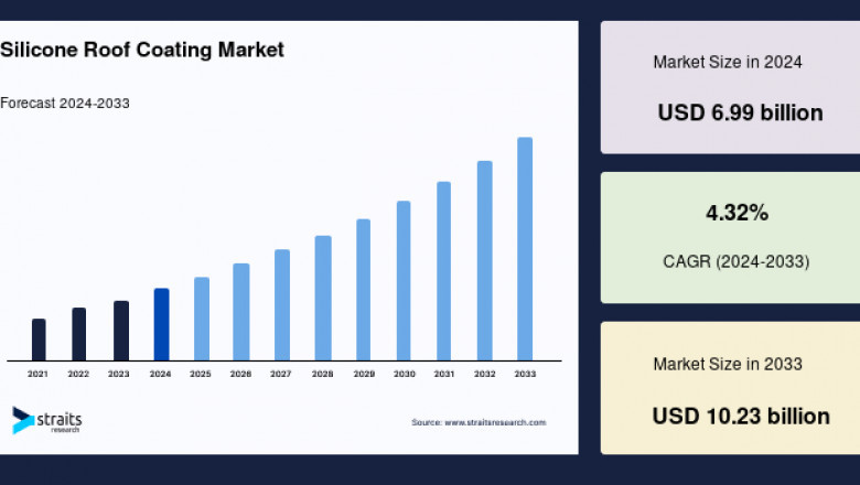 Silicone Roof Coating Market: Top Industry Share and Growth Drivers Unveiled, Forecast to 2033