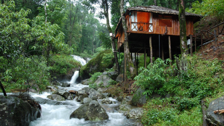 Discover the Magic of Coorg Through Tailored Tour Packages