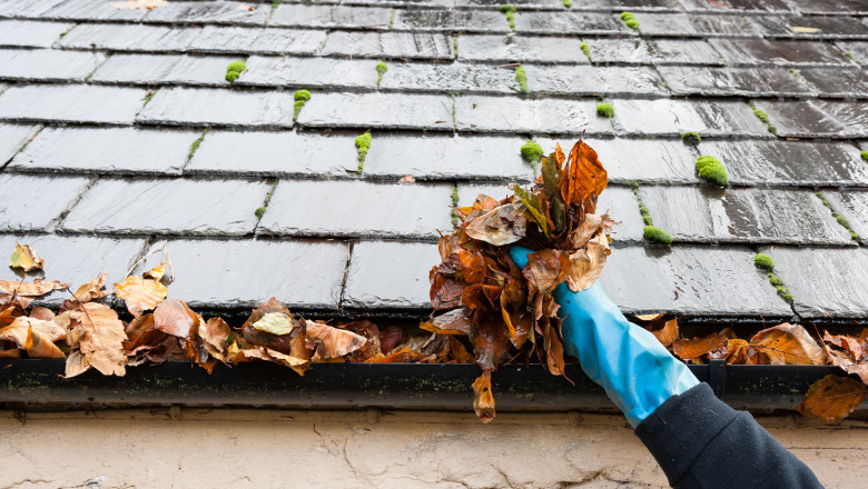 Why Gutter Cleaning Services Are Primary for Your Home