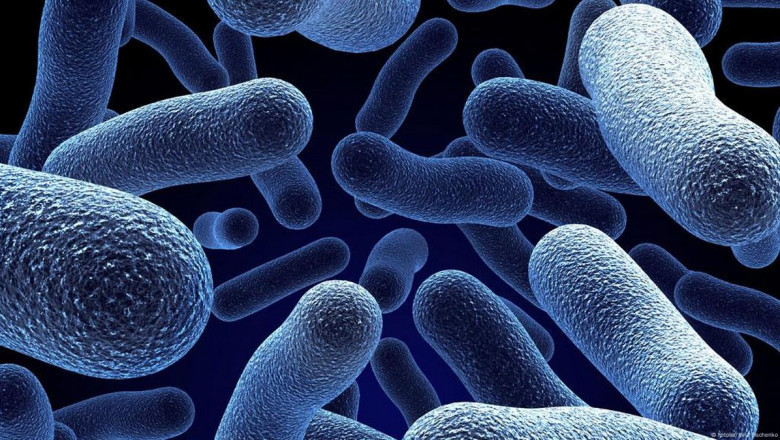 Bacterial Cell Culture Market to Surge with Automation